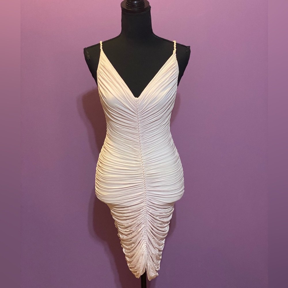 Pale Pink Zac Posen Dress